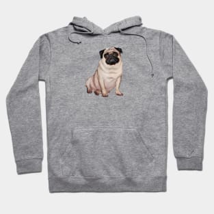 A Fawn Pug - Just the Dog Hoodie